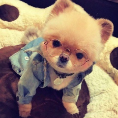 Janat Esalieva, 06.09.1990, Актау