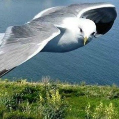 Алексей Случаев, 16.04.1976, Санкт-Петербург