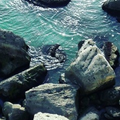 Чингиз Абдыров, 21.07, Актау