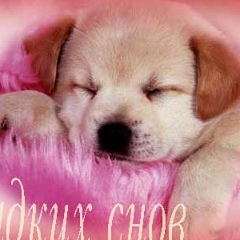 Жануська Милуська, 01.10.1994, Самара