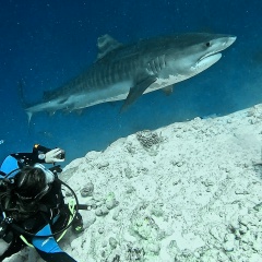 Людмила Берюхова, 11.07.1992, Москва