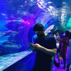 Вусал Халилли, 09.01, Москва