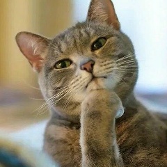 Светлана Зайцева, 07.02.1994, Москва