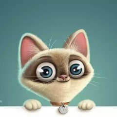 Екатерина Табарча, 25.04.1981, Санкт-Петербург