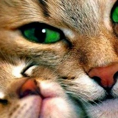 Галина Музафарова, 07.03.1988, Тольятти