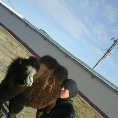 Нурсултан Азирбаев, 17.03, Актау