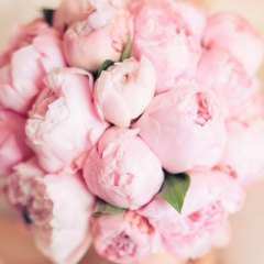 Purma Dovgaeva, 04.09.1987, Элиста