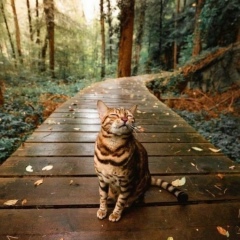 Динара Андронова, 13.12