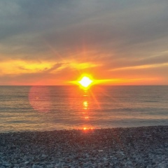 Николай Ветров, Москва