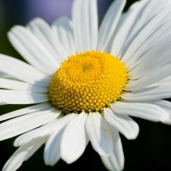 Айгуль Гиниятуллина, 09.07, Казань