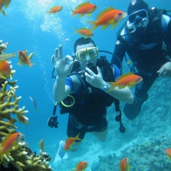 Дима Дима, 01.01.2005