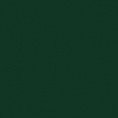 Андрей Мантур