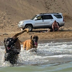 Дмитрий Почепец, 10.09.1980, Алматы