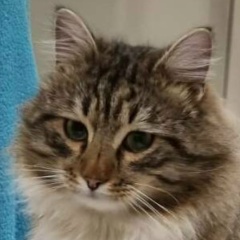 Иван Федотов, 28.09.1987, Мытищи