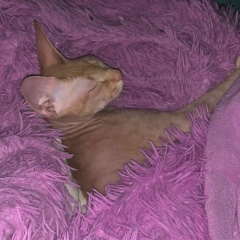 Марина Грецкая, 28.06, Санкт-Петербург