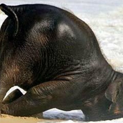 Николай Романенко, 21.05.1982, Москва