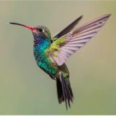 Людмила Брискина, 27.04