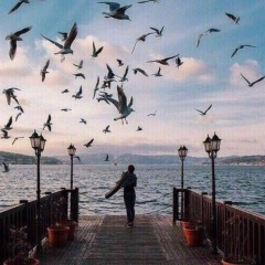 Aizhan Diasova, 22.01