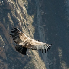 Мирза Магомедов, 03.10, Махачкала