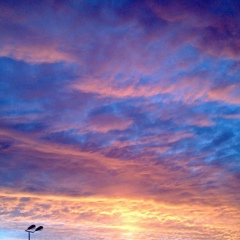 Роксана Фирян, 16.06.1987, Санкт-Петербург