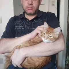 Алексей Карпенко, 19.05.1984, Санкт-Петербург