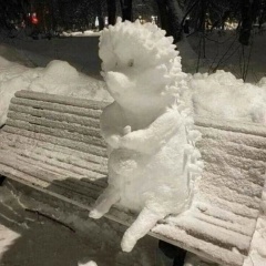 Алексей Алексеев, 20.12, Malé