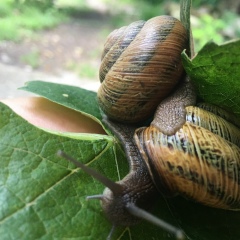 Анна Якунчикова, 16.06, Санкт-Петербург