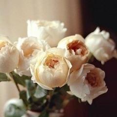 Анна Лактионова, Харьков