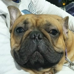 Саша Аничкин, 18.11.1994, Санкт-Петербург