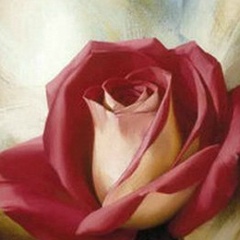 Раушан Жалгаспаева, 23.11