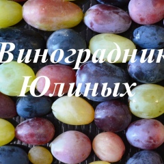 Ваш , Никополь
