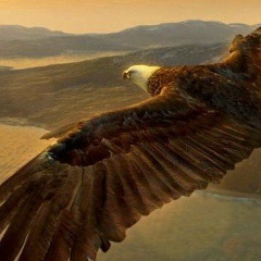 Dilshod Urmanov, 14.09.1989, Алматы