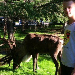 Витя Мотора