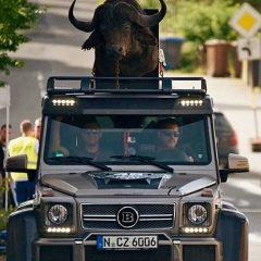 Black Boys, Махачкала