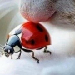 Любовь Ковалева, 01.02.1981, Анапа