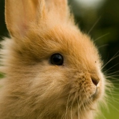 Valeriy Oleynikov, 01.02, Волгоград