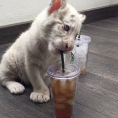 Inkar Otarova, 24.09, Атырау