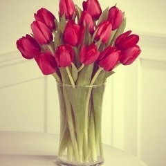 Елена Цыганюк, 02.08.1987, Бахмут / Артемовск