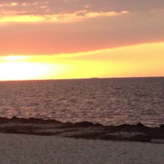 Гаянэ Петросян, 14.02.1978, Ереван