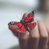 Полинка Балыбердина, 17.09