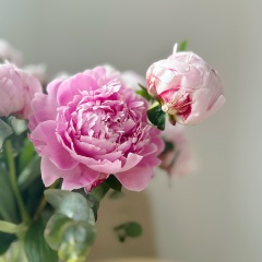 Олька Можайкина, Москва