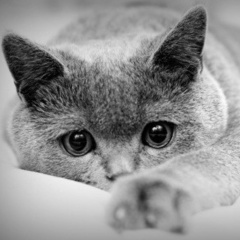 Алина Алин, 14.07, Москва