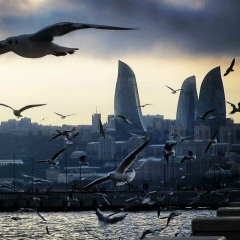 Мухиббан Ибн Адам, 18.12, Киев