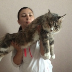 Олеся К, Красноярск