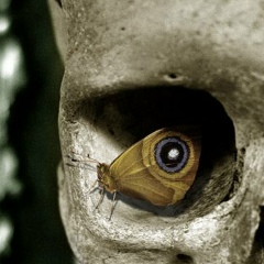 Вадим Алексеев, 20.09.1987, Кемерово