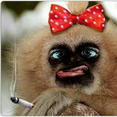 Галина Воскобойник, 11.07, Санкт-Петербург