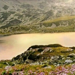 Алмаз Счастливый, 03.05, Алматы