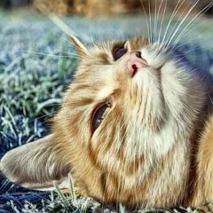 Александр Савош, 05.01, Днепр (Днепропетровск)