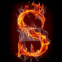 Sweat Swan, 20.01, Hyderabad