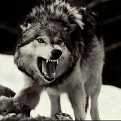 Жека Горяной, 20.08.1990, Chicago